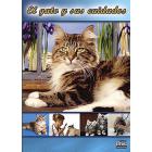 El gato y sus cuidados El gato y sus cuidados
